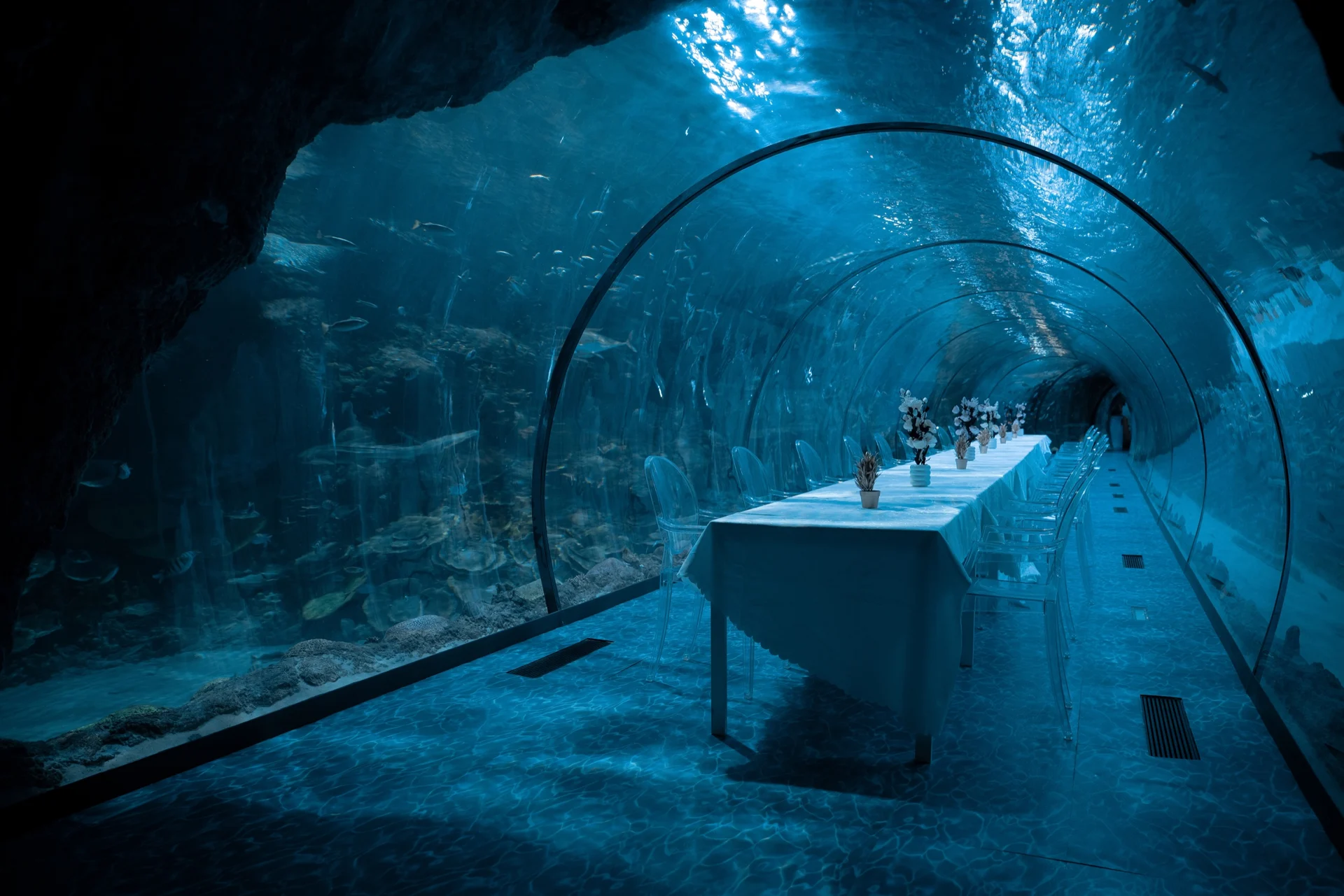 The National Aquarium Abu Dhabi campaign