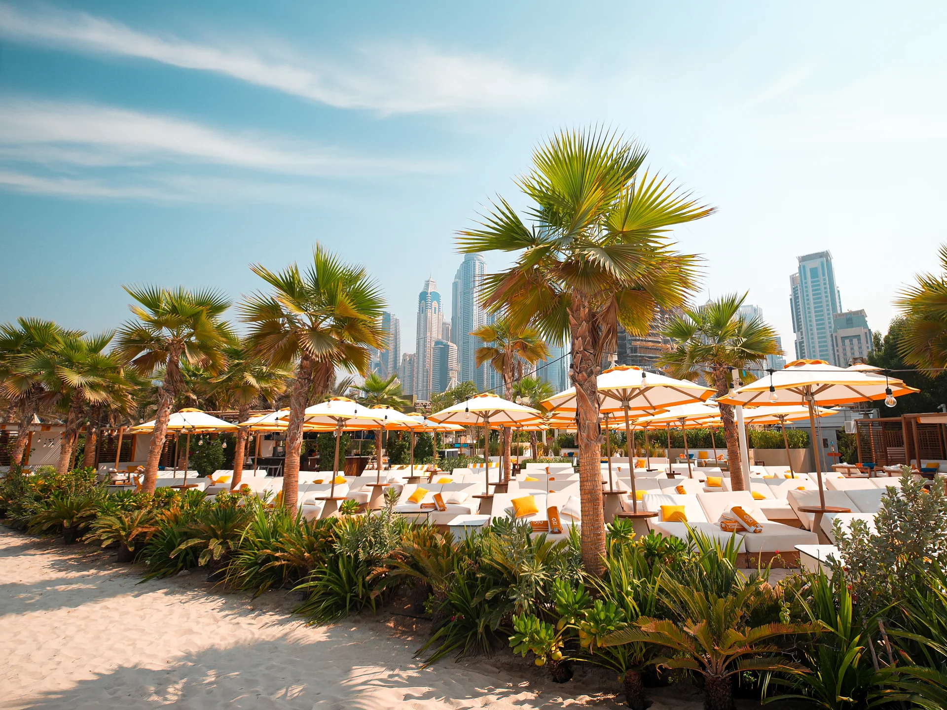 Palm-lined garden and lounge area at O Beach Dubai.